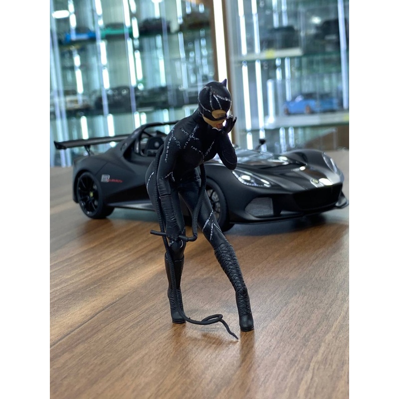 1/18 Scale Figure - Catwoman Figures