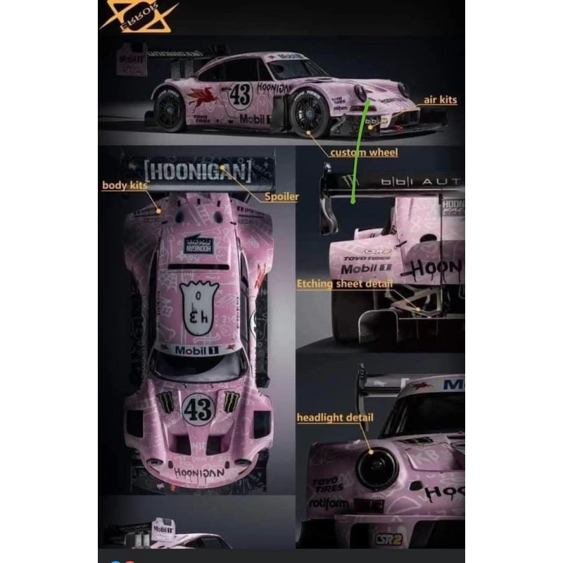404Error 1/64 911 RSR Hoonigan 964 Hoonipigasus PinkFrog [Resin]